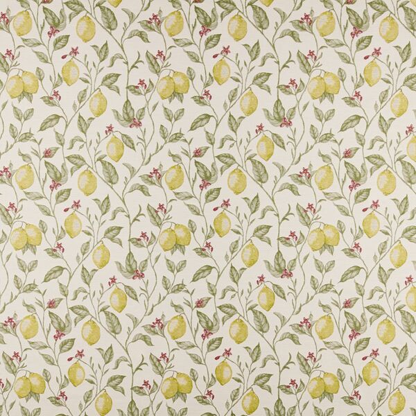 Product image 4 of 13